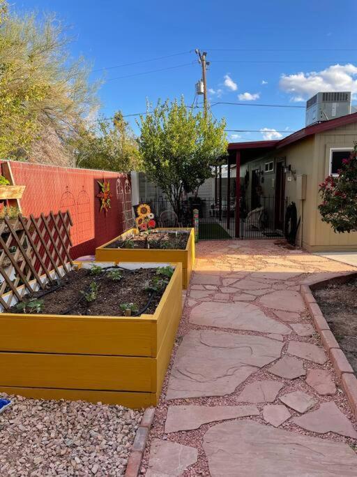 Encanto Cactus Flower Casita Phoenix Exterior foto